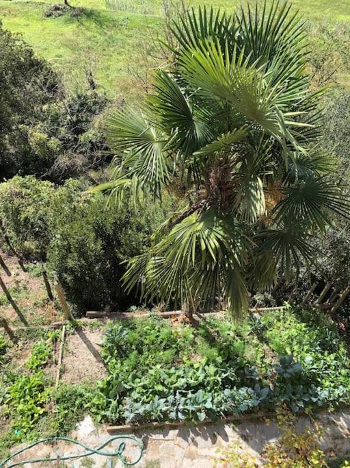 Ca' Cuore In Monferrato Serralunga di Crea Exterior foto